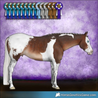 Horse Color:Silver Brown Splash Tobiano Appaloosa Rabicano 