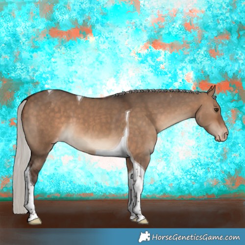 Horse Color:Silver Brown Dun Tobiano Appaloosa 