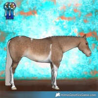 Horse Color:Silver Brown Dun Tobiano Appaloosa 