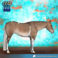 Horse Color:Silver Brown Dun Tobiano Appaloosa