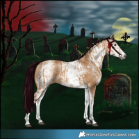 Horse Color:Gray White Spotted Red Dun Rabicano  and Gray White Spotted Bay Dun Rabicano 