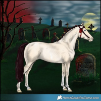 Horse Color:Buckskin Pearl Sabino 