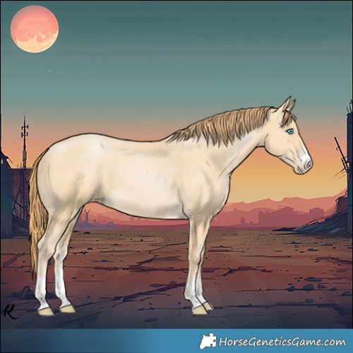 Horse Color:Buckskin Pearl Sabino 