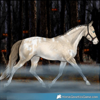 Horse Color:White Spotted Bay Snowdrop Dun Tobiano Appaloosa Rabicano