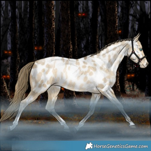 Horse Color:Grullo Snowdrop Tobiano Appaloosa Rabicano 
