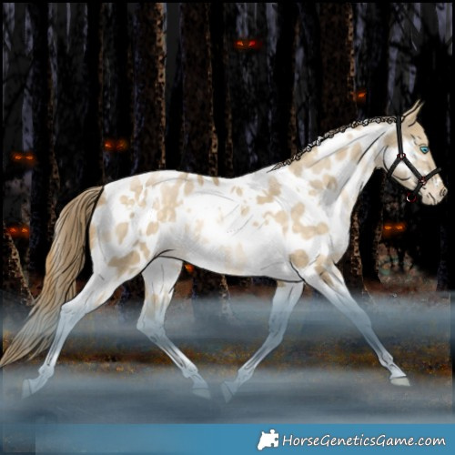 Horse Color:White Spotted Brown Snowdrop Dun Tobiano Appaloosa Rabicano 