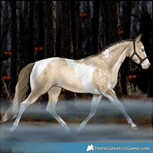 Horse Color:White Spotted Brown Snowdrop Splash Tobiano Rabicano 