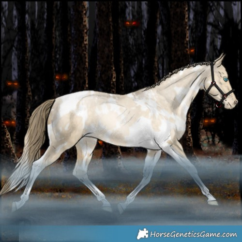 Horse Color:White Spotted Brown Snowdrop Dun Tobiano Appaloosa Rabicano 