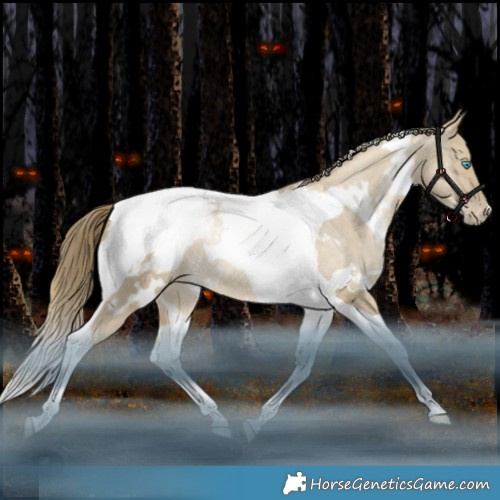 Horse Color:White Spotted Brown Snowdrop Dun Tobiano Appaloosa Rabicano 