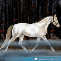 Horse Color:White Spotted Brown Snowdrop Dun Tobiano Snowcap Rabicano