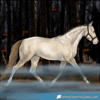 Horse Color:White Spotted Bay Snowdrop Dun Tobiano Rabicano 