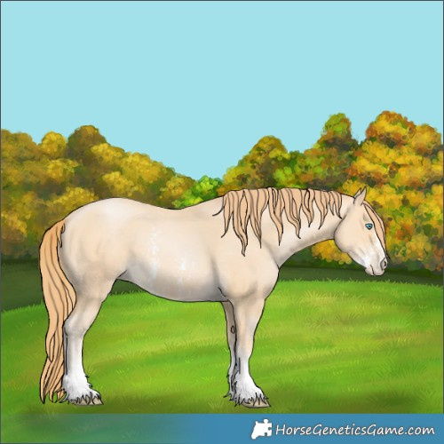 Horse Color:Buckskin Pearl Sabino 