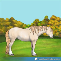Horse Color:Buckskin Pearl Sabino 