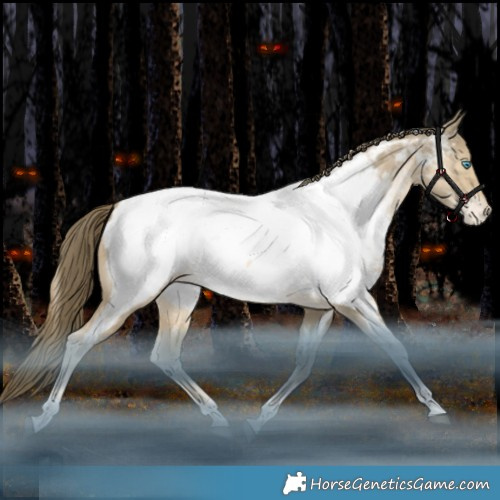 Horse Color:Bay Snowdrop Tobiano Appaloosa Rabicano 