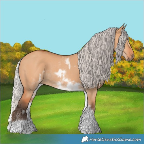 Horse Color:White Spotted Silver Bay Dun Rabicano and White Spotted Silver Bay Dun Rabicano