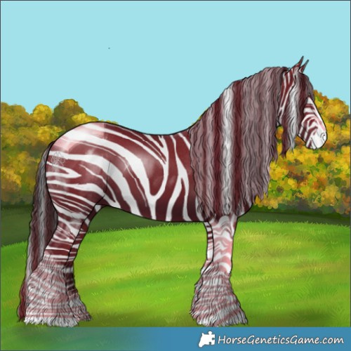 Horse Color:Black Tobiano 