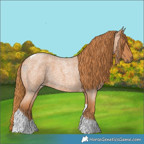 Horse Color:Red Roan Tobiano
