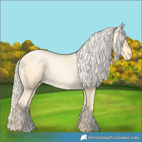 Horse Color:Palomino Pearl Dun Sabino Appaloosa