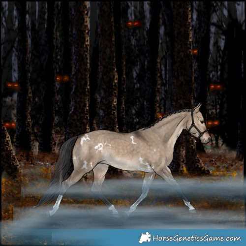 Horse Color:White Spotted Brown Dun Tobiano Rabicano 