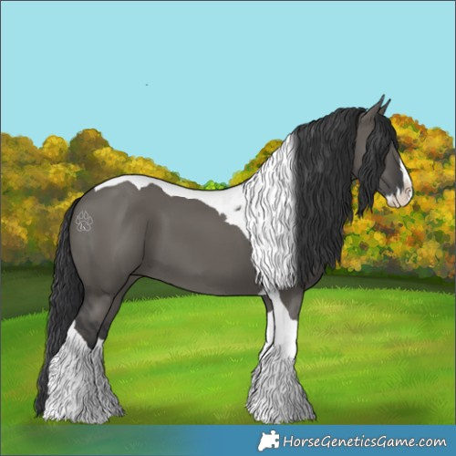 Horse Color:Grullo Splash Tobiano 