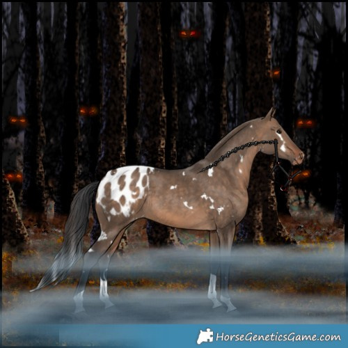 Horse Color:White Spotted Bay Dun Tobiano Appaloosa Rabicano 