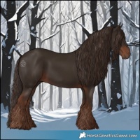Horse Color:Liver Chestnut  and Liver Chestnut 