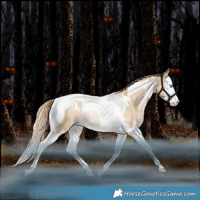 Horse Color:White Spotted Brown Snowdrop Pearl Splash Tobiano Varnish Rabicano 