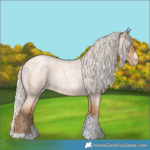 Horse Color:Silver Blue Roan Pearl Tobiano Frame 