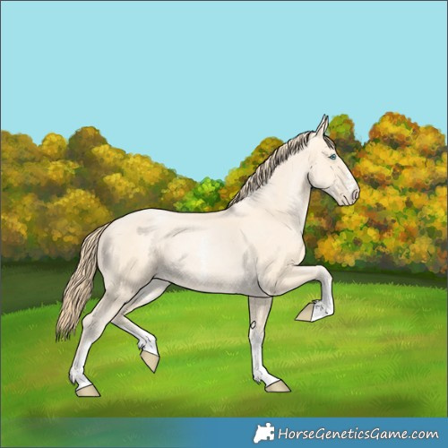 Horse Color:Buckskin Pearl Sabino 