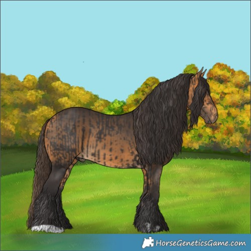 Horse Color:Smoky Black  and Buckskin 