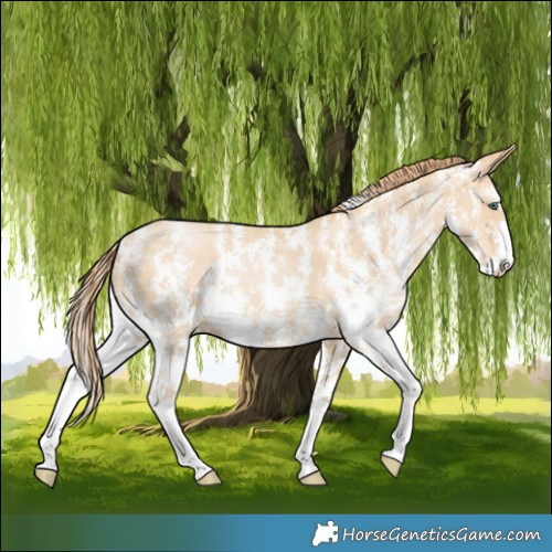 Horse Color:Smoky Black Pearl Sabino 
