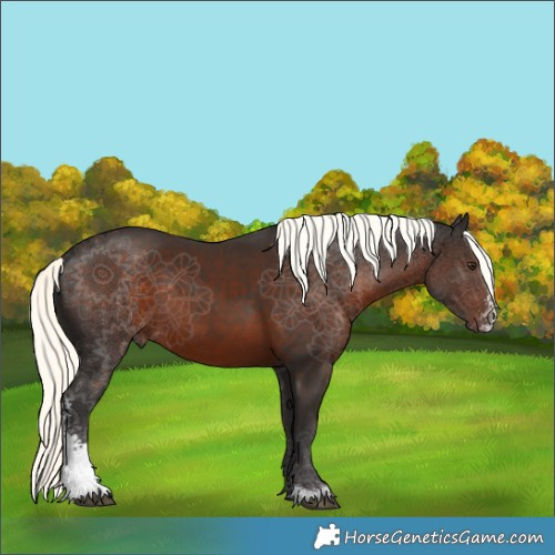 Horse Color:Liver Chestnut Mushroom Sabino Rabicano