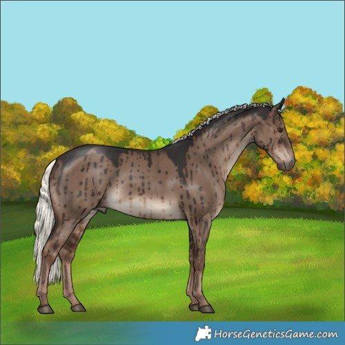 Horse Color:Liver Red Dun Mushroom Brindle 