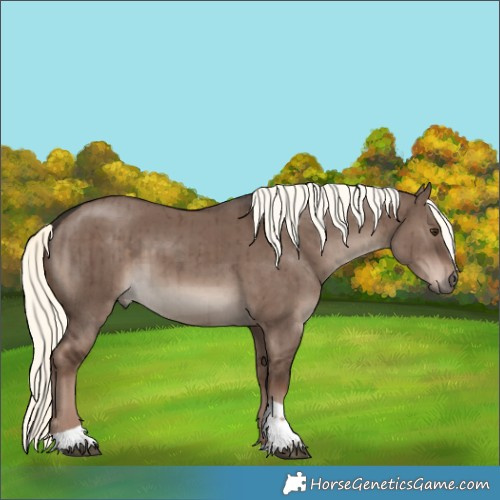 Horse Color:Liver Red Dun Mushroom Tobiano Rabicano Brindle 