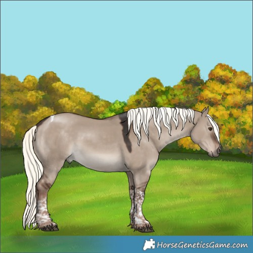 Horse Color:Liver Red Dun Mushroom Tobiano 