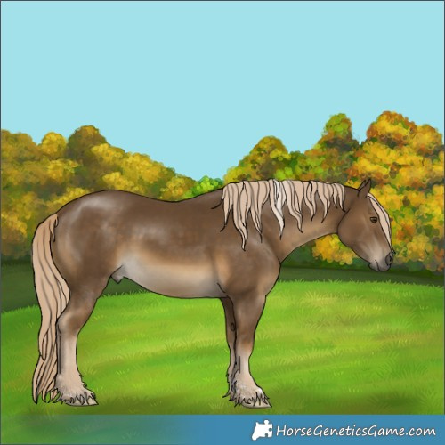 Horse Color:Chocolate Palomino Mushroom Tobiano 