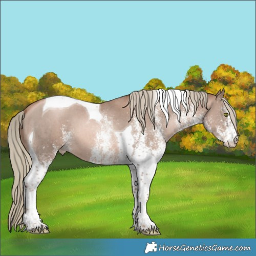 Horse Color:White Spotted Liver Chestnut Pearl Mushroom Tobiano 