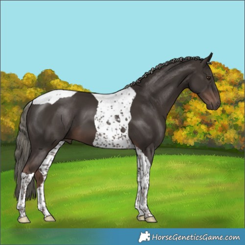 Horse Color:Liver Chestnut Mushroom Tobiano 