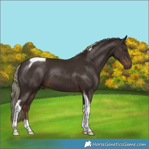 Horse Color:Liver Chestnut Mushroom Tobiano 