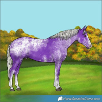 Horse Color:Watercolor White Spotted Liver Chestnut Ice Mushroom