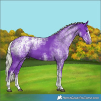 Horse Color:Watercolor White Spotted Liver Chestnut Ice Mushroom