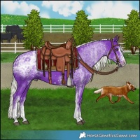 Horse Color:Watercolor White Spotted Liver Chestnut Ice Mushroom 