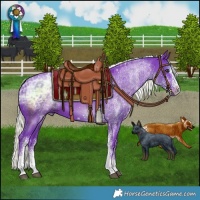 Horse Color:Watercolor White Spotted Liver Chestnut Ice Mushroom 