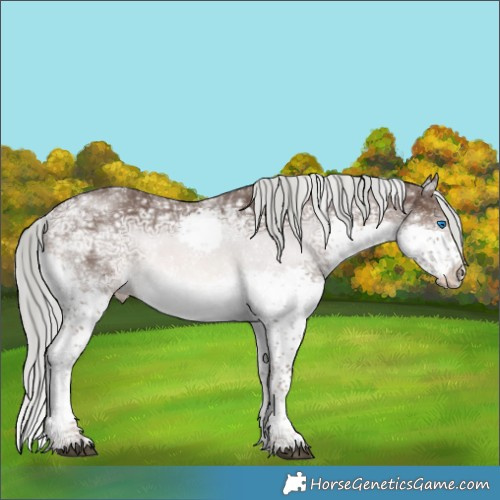 Horse Color:Liver Chestnut Ice Mushroom Splash Tobiano 