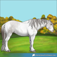 Horse Color:White Spotted Liver Red Dun Ice Tobiano