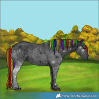 Horse Color:Painted Black Ice Rabicano