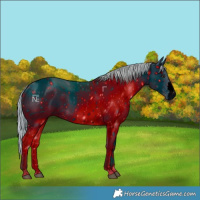 Horse Color:ERROR: UNKNOWN ANOMALY