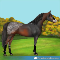 Horse Color:ERROR: UNKNOWN ANOMALY