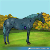 Horse Color:ERROR: UNKNOWN ANOMALY