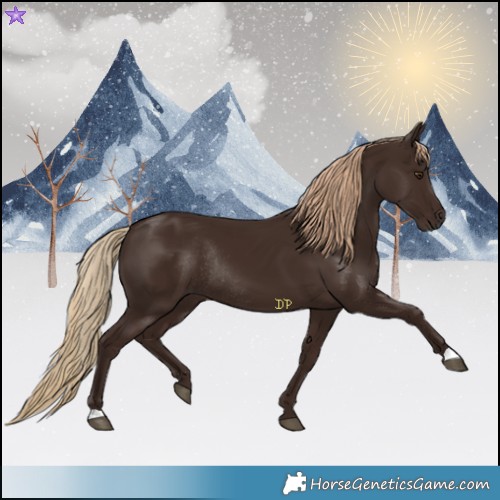 Horse Color:Liver Chestnut Rabicano 